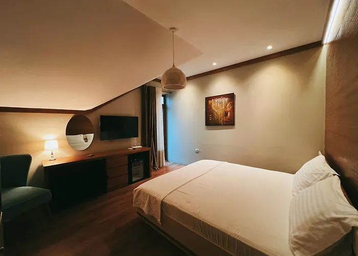 Chateau Fasel 4*