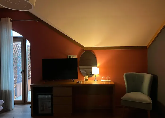 Chateau Fasel 4*
