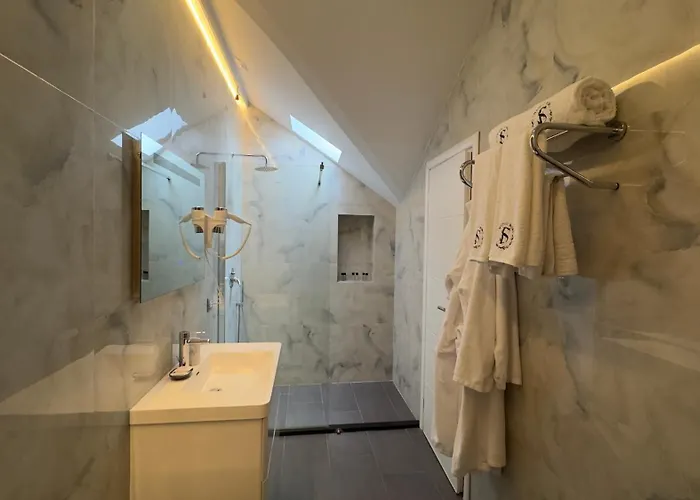 Chateau Fasel 4* ティラナ